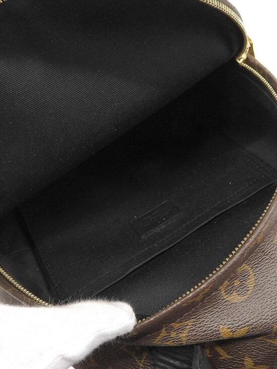 Louis Vuitton Monogram Palm Springs Backpack Rucksack Daypack main image 7